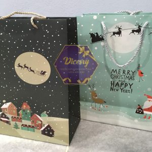 Christmas Paper Bags