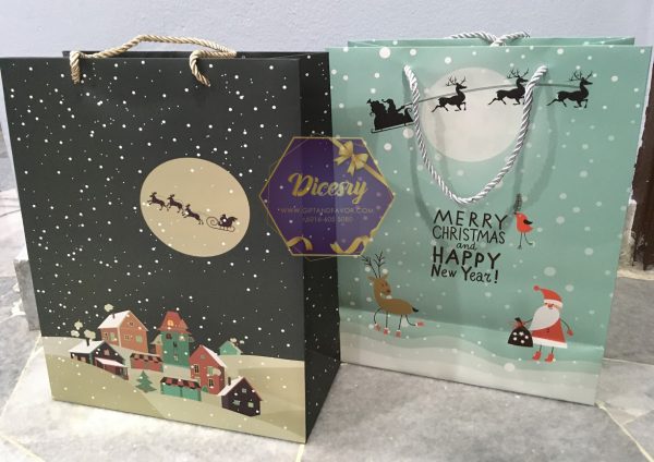 Christmas Paper Bags